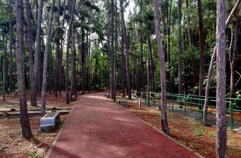 Bukit Shahbandar Forest Recreation Park, Brunei-Muara District, Brunei